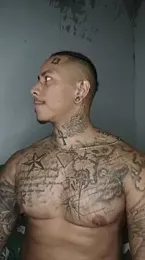 David_tatto1 webcam model stream image