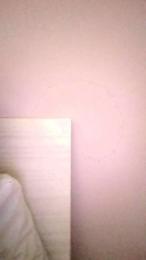 SelvaggiaRuby webcam model stream image