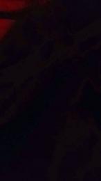 osopajas2 webcam model stream image