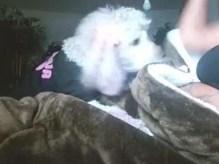 liquidfire webcam model stream image