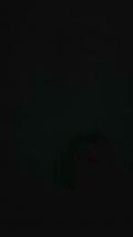 Patatone86 webcam cam4 model stream image