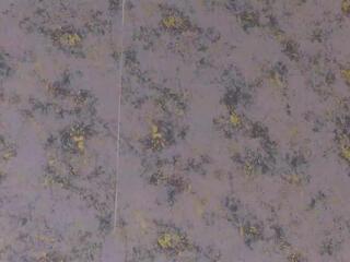 Emma Robi webcam model stream image