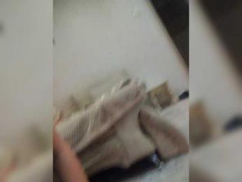 MollyDave webcam model stream image