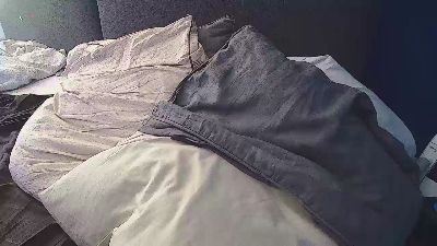 MShenko webcam model stream image