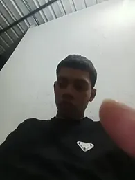 curious_straight_guy webcam model stream image