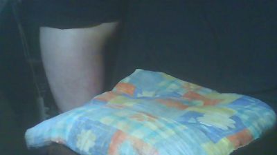 leobau webcam model stream image