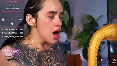 EvaCanton webcam model stream image