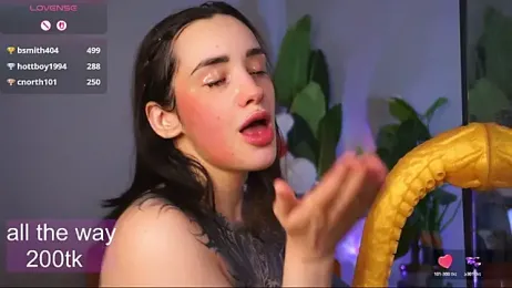 EvaCanton webcam model stream image