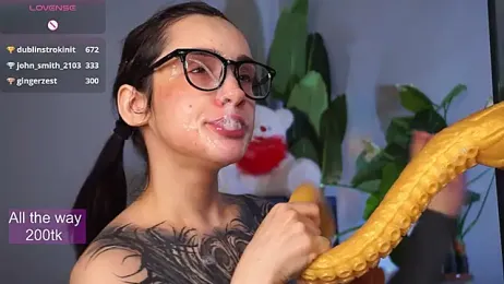 EvaCanton webcam model stream image