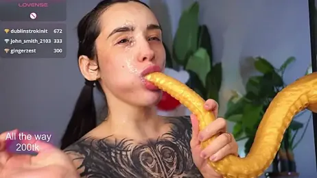 EvaCanton webcam model stream image