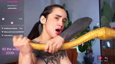 EvaCanton webcam model stream image