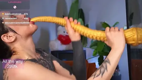 EvaCanton webcam model stream image