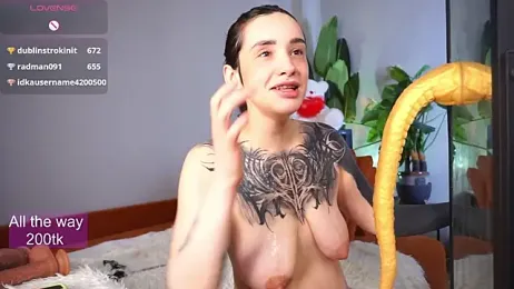 EvaCanton webcam model stream image