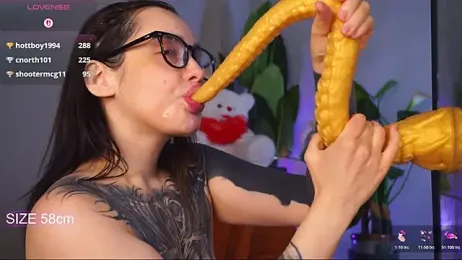 EvaCanton webcam model stream image