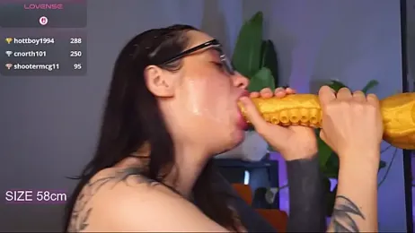 EvaCanton webcam model stream image