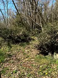 petrouchkaaa_ webcam model stream image