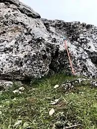 Sert_erkek21_ysm webcam model stream image