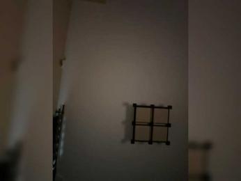Rinaaamur webcam model stream image