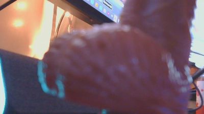 nalgonquito webcam model stream image