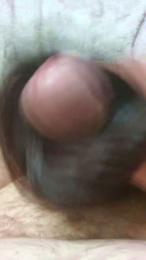Pollitasucia webcam model stream image