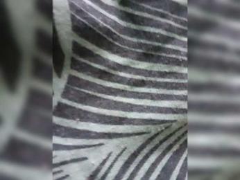 Ice_Ice_Baby webcam model stream image