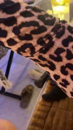 Loriginal32 webcam model stream image