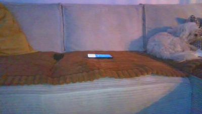 Loriginal32 webcam model stream image