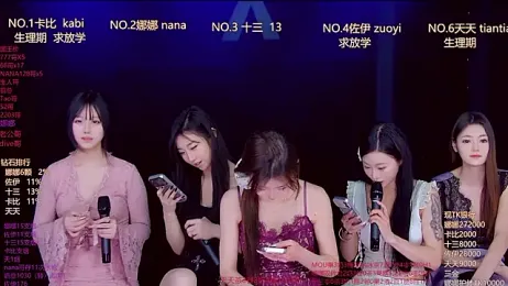 LC_888 webcam model stream image