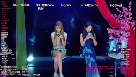 LC_888 webcam model stream image