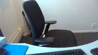 Narvestad webcam model stream image