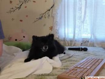 aliceriverscam webcam model stream image