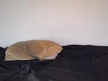 theetwohander webcam model stream image