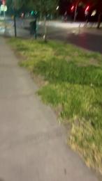 Zayx webcam model stream image