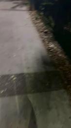 Zayx webcam model stream image