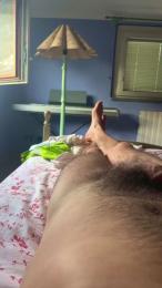 TigerManEero webcam model stream image