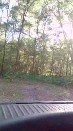 Liveformuff webcam model stream image