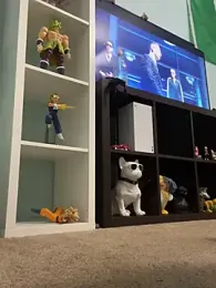 kirag webcam model stream image