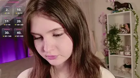 LeraKit webcam model stream image