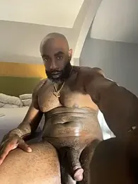 imagen del stream de QHefner52