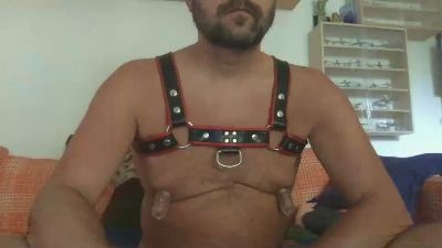saubear2 webcam model stream image