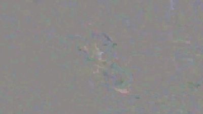 spain_worker webcam cam4 model stream image