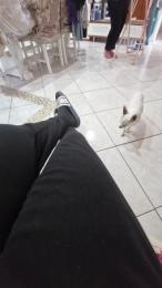 Monella52 webcam model stream image