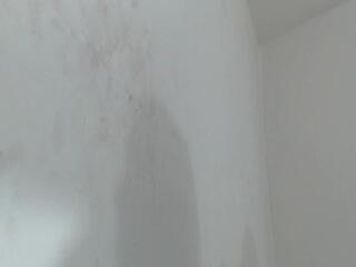 Brant Garcia webcam flirt4free model stream image