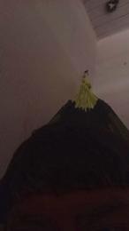 Novinhogtz18y webcam model stream image