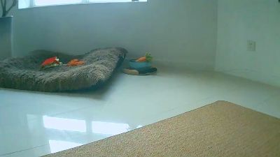 skyjunior70 webcam cam4 model stream image