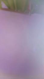 queenny1 webcam model stream image