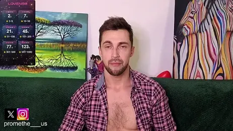 Promethe_us webcam model stream image