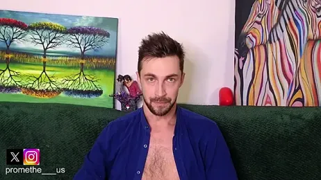 Promethe_us webcam model stream image