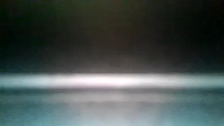 Antoniothedon webcam model stream image