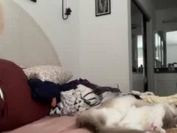 bellaryderr webcam model stream image